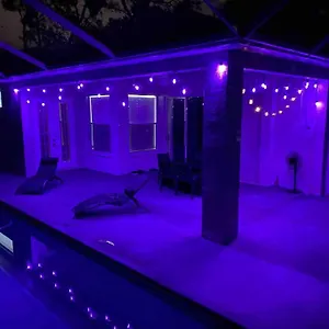 Hidden Gem In The Heart Of The City!! , Tampa United States